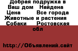 Добрая подружка,в Ваш дом!!!Найдена › Цена ­ 10 - Все города Животные и растения » Собаки   . Ростовская обл.